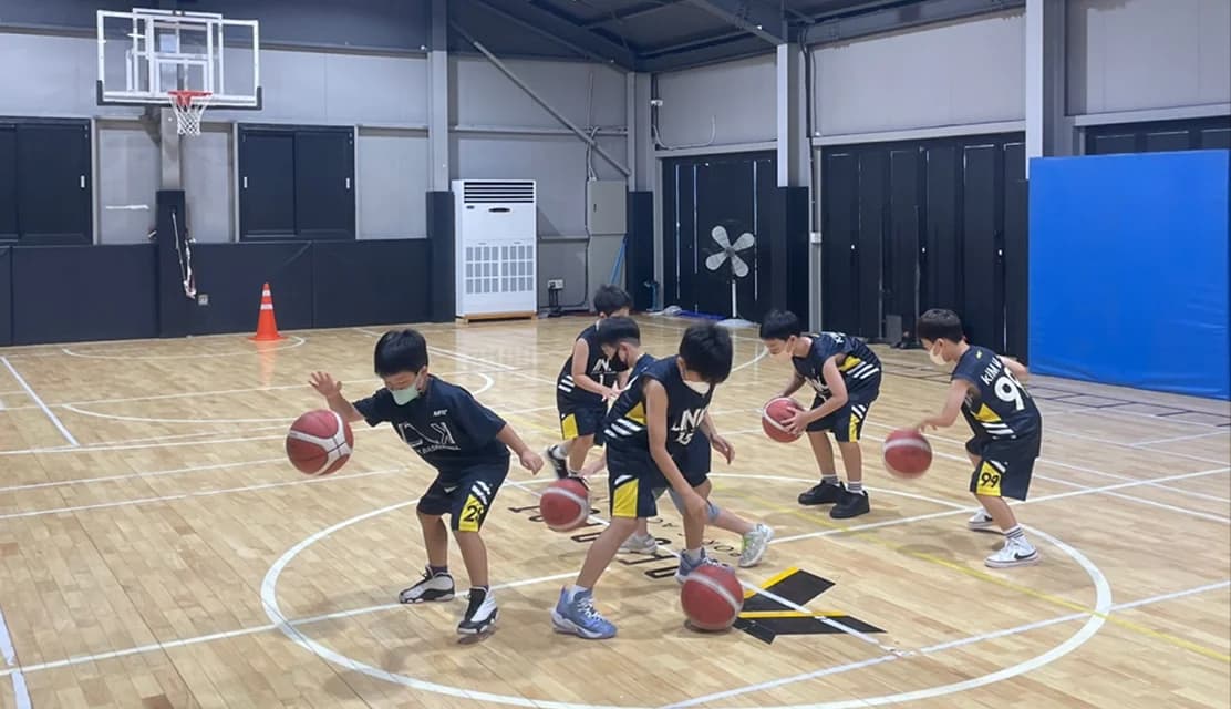 기초부터 정확하게 배우는 기본기